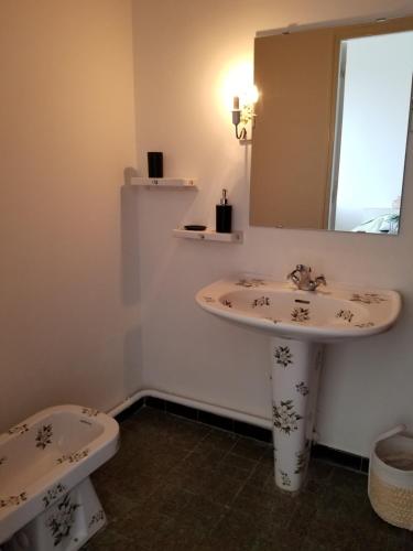 Un baño con lavabo, espejo e inodoro. en Domaine de Bellevue, en Beaupuy
