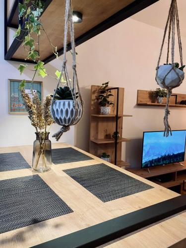 Fotografie z fotogalerie ubytování NEWTOWN APARTMENT v destinaci Nikšič