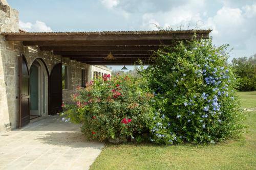 Masseria 30 Mogge – Photos 2