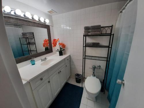 La salle de bains est pourvue d'un lavabo, de toilettes et d'un miroir. dans l'établissement Hallandale Studio with pool, à Hallandale Beach