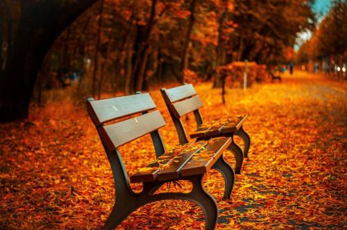 two park benches sitting on a leaf covered path at Holiday Inn Roanoke - Tanglewood Route 419 & I 581 by IHG in Roanoke