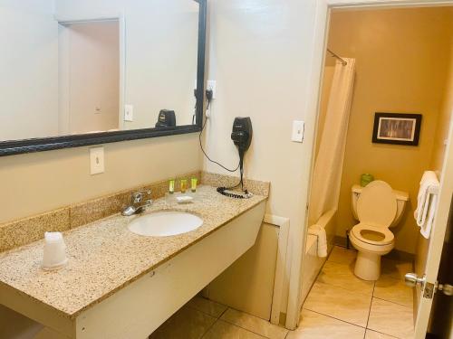 uma casa de banho com um lavatório, um espelho e um WC. em Red Carpet Inn Duncannon em New Buffalo
