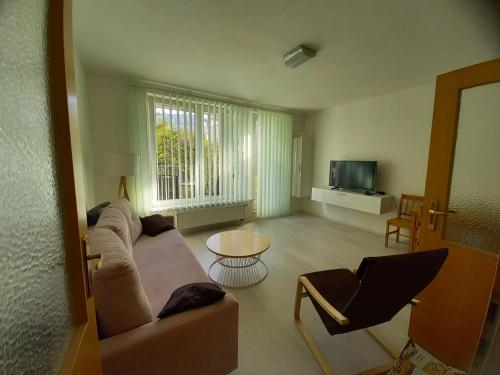 TV a/nebo společenská místnost v ubytování apartment golden Prague