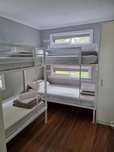 a room with three bunk beds and a window at Gulgong Tourist Park in Gulgong