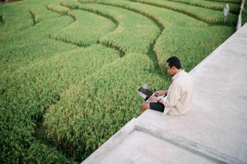 a man sitting on a ledge with a laptop in a field at Musa Canggu in Canggu