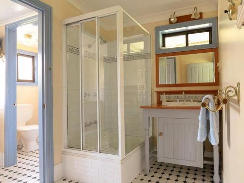 une salle de bain avec une douche avec un lavabo et des toilettes dans l'établissement Magnolia Cottage Kangaroo Valley, à Barrengarry