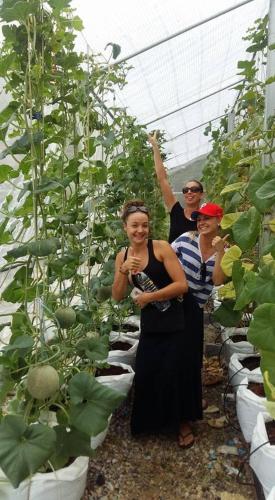 a group of people standing in a greenhouse with plants at Baansrisuthum in Don Sak