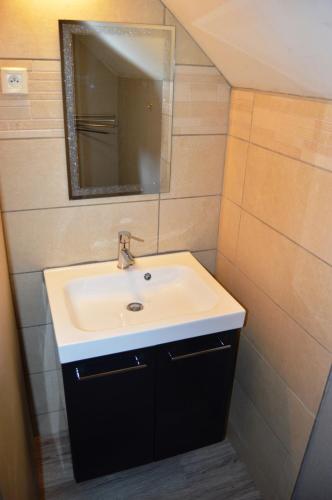 une salle de bain avec un lavabo et un miroir dans l'établissement Gite LA ROCHERIE, à Hambers