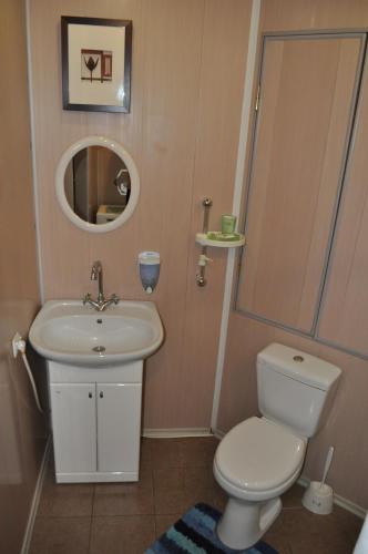 W łazience znajduje się umywalka, toaleta i lustro. w obiekcie Spacious apartment with balcony w mieście Krzemieńczuk