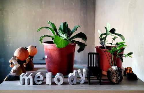 Imagen de la galería de Go Home Homestay, en Kaohsiung