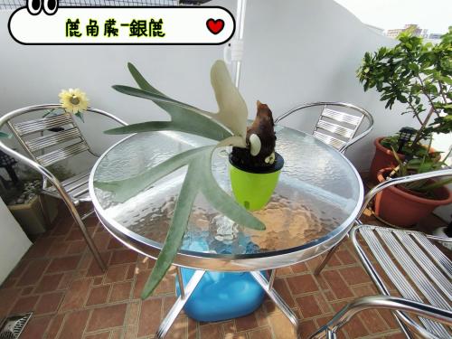 Imagen de la galería de Go Home Homestay, en Kaohsiung