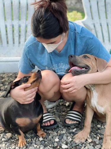 a woman is squatting next to two dogs at A Villas Resort & Restaurant in Zamboanguita