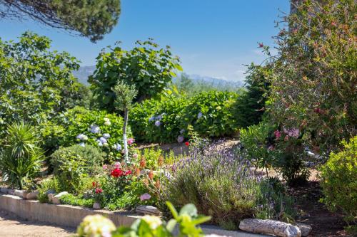 a garden with colorful flowers and plants at Hotel Arcu Di Sole in Propriano