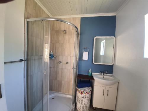 a bathroom with a shower and a sink at Catch your Breath in Edenvale
