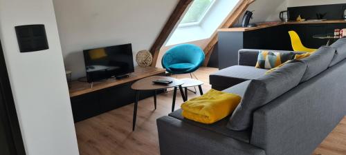 un salon avec un canapé gris et une télévision dans l'établissement Apparthotel loft Martigné-Ferchaud, à Martigné-Ferchaud