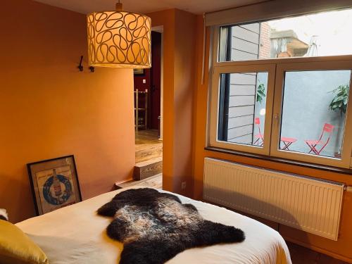 una camera da letto con un cane steso su un letto accanto a una finestra di La Duchesse d'Aumale a Spa