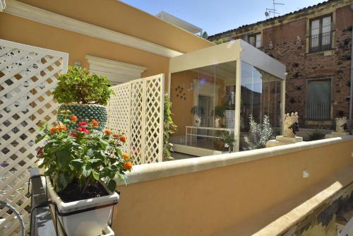 Home dentro il teatro photo 179