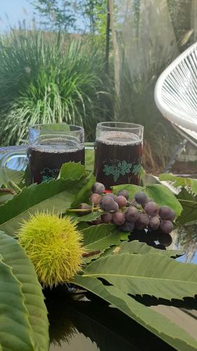 a table with two glasses of juice and a bunch of grapes at Hotel Garni Landhaus Florian in Bad Blumau