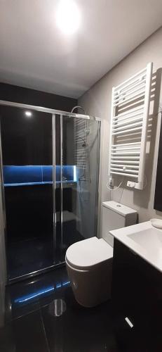 y baño con ducha, aseo y lavamanos. en NEW!! Galé 404 Center Apartment (wifi, parking...) en Oporto