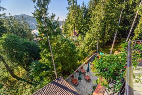 an overhead view of a garden with chairs and trees at Pensiunea Hilltop in Predeal