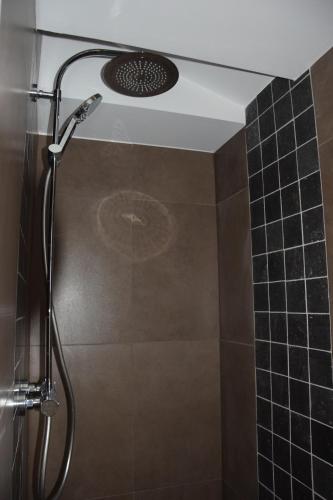 a shower with a shower head in a bathroom at CaCeLe Raveelzicht in Zulte