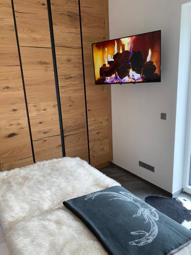 Televisyen dan/atau pusat hiburan di Apartments Katarina
