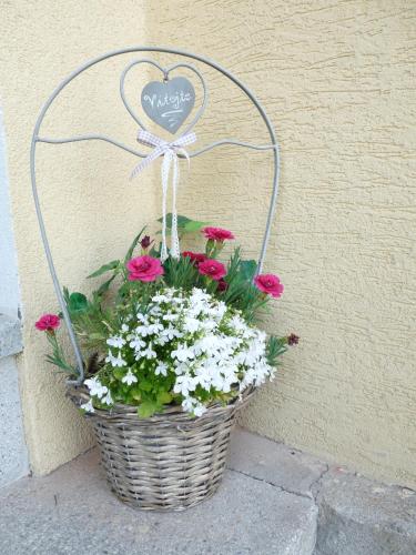 a basket of flowers sitting next to a wall at Penzion Ostravanka in Hranice