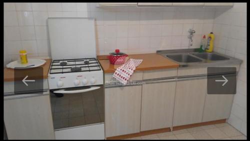 een kleine keuken met een fornuis en een wastafel bij Kuća za odmor Ana in Ražanac