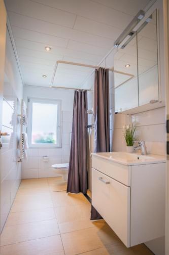 a bathroom with a sink and a mirror at MINAROSO appartements am badeparadies in Titisee-Neustadt