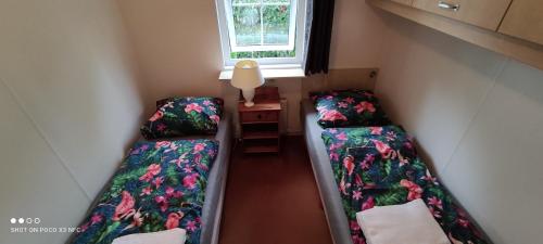 een kleine kamer met 2 bedden en een raam bij Boshuisje in Wageningen