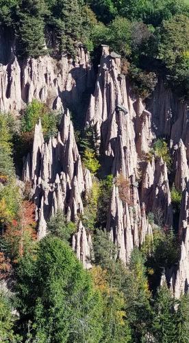 an image of a rocky mountain with trees and bushes at Marlingsuites - Vinea - Wieser Josef - Marling in Marlengo
