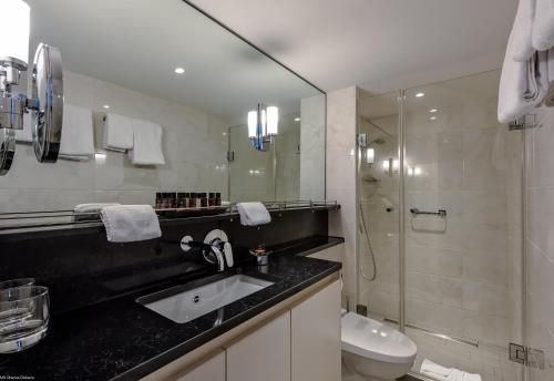 ein Bad mit einem Waschbecken, einem WC und einer Dusche in der Unterkunft KD Hotelship Düsseldorf Comfort Plus in Düsseldorf