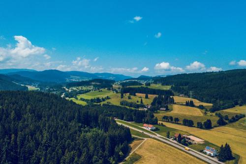 an aerial view of a valley with trees and a road at MINAROSO appartements am badeparadies in Titisee-Neustadt