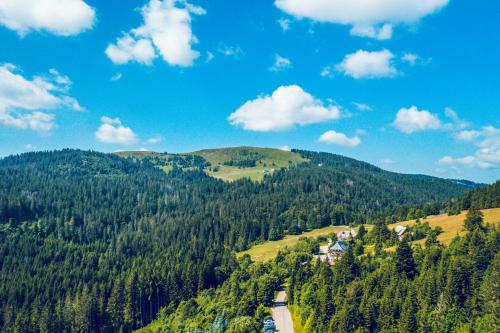 a view of a mountain with a house and trees at MINAROSO appartements am badeparadies in Titisee-Neustadt