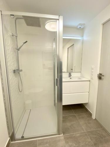 une salle de bain avec douche et lavabo dans l'établissement Presqu'île de Caen, Terrasse & Parking, à Caen