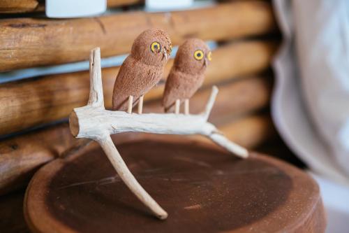 two birds sitting on a branch on a table at CasaLô Hotel in Jericoacoara