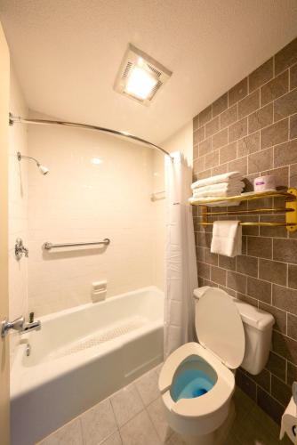 a bathroom with a toilet and a tub and a sink at Regency Inn of Eddyville Kuttawa in Eddyville