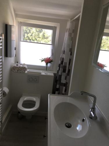 baño con lavabo y aseo y ventana en Dachgeschosswohnung in Ranstadt, en Ranstadt