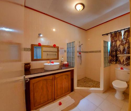 La salle de bains est pourvue d'un lavabo, de toilettes et d'une douche. dans l'établissement Hostellerie La Digue, à La Digue