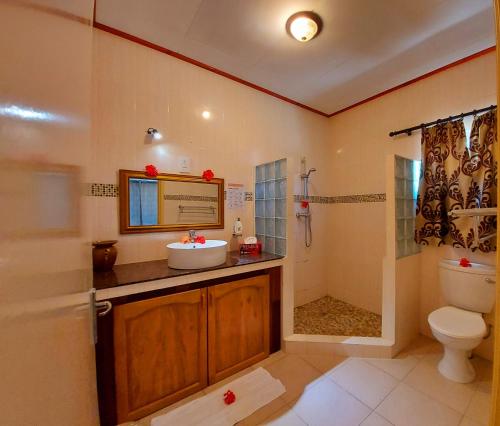 a bathroom with a sink and a toilet and a shower at Hostellerie La Digue in La Digue