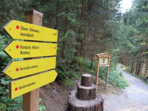 a directional sign on a trail in the woods at Pension Mühlbachhof in Alpbach