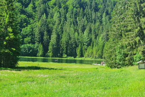 a grassy field with a lake in front of a mountain at Alpenchalet im Steirischen Salzkammergut in Tauplitz