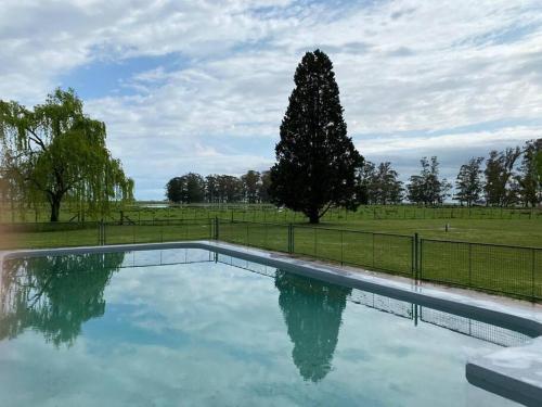 a pool of water with a tree in the background at Estancia La Aurora, en Provincia de Buenos Aires in Azul