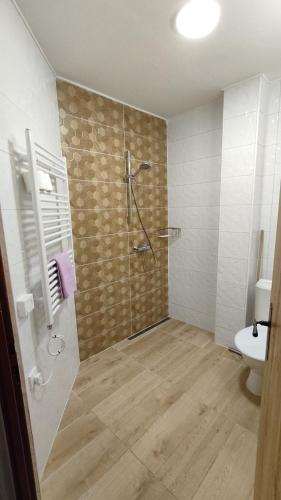 La salle de bains est pourvue d'une douche et de toilettes. dans l'établissement Penzion Na Sluníčku, à Mariánská