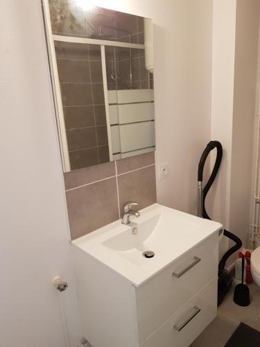 uma casa de banho com um lavatório branco e um espelho. em L'ATELIER Calme et Cosy à 2 pas de la cathédrale em Orléans
