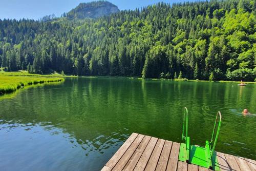 a dock with a green chair on a lake at Alpenchalet im Steirischen Salzkammergut in Tauplitz