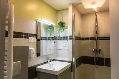 une salle de bain avec un lavabo, une douche et un miroir dans l'établissement COLLEGIALE PROCHE CENTRE VILLE Home-One, à Dole