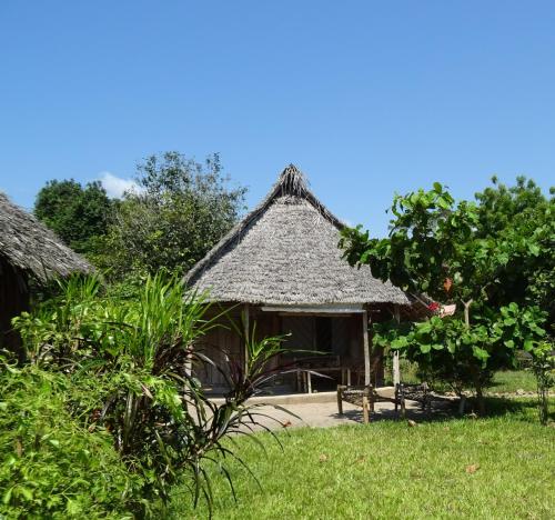 a small hut with a thatched roof in a field at Jabar Lodge in Zanzibar City