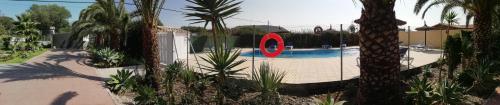 a swimming pool with a fence and palm trees at Casas Guemon in Zahora