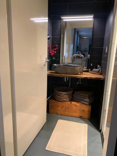 a bathroom with a sink and a mirror at Bed & Breakfast "aan de banis" in Rijssen
